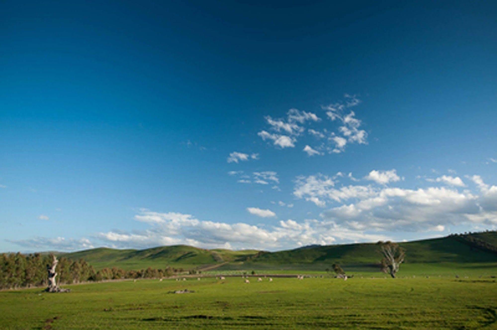 Curringa Farm Vila Meadowbank Exterior foto